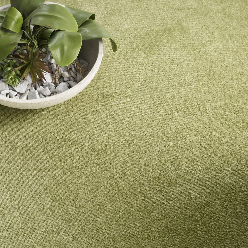 9' X 12' Green Indoor Outdoor Area Rug HomeRoots