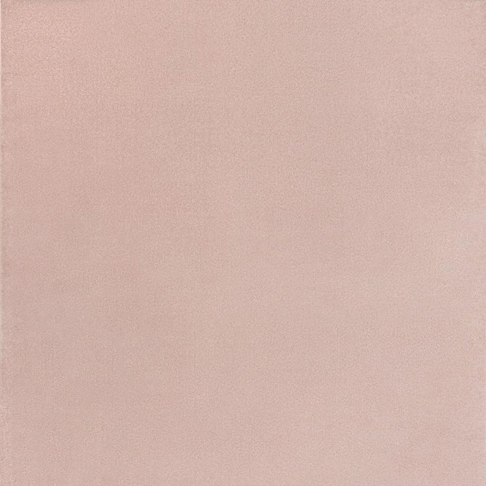 10' X 14' Pink Indoor Outdoor Area Rug HomeRoots