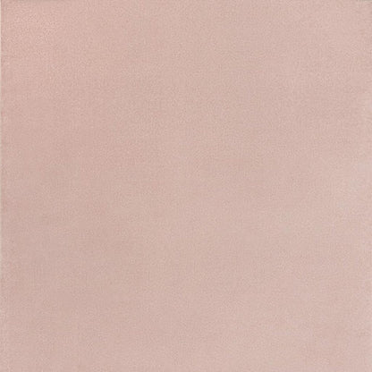 10' X 14' Pink Indoor Outdoor Area Rug HomeRoots