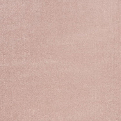 4' X 6' Pink Indoor Outdoor Area Rug HomeRoots