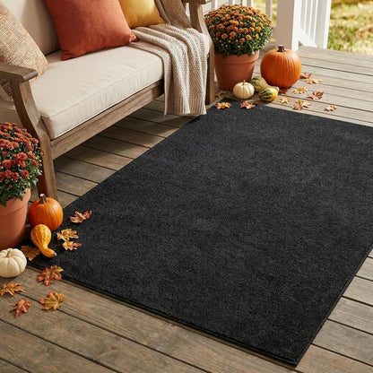 3' X 5' Black Stain Resistant Indoor Outdoor Area Rug