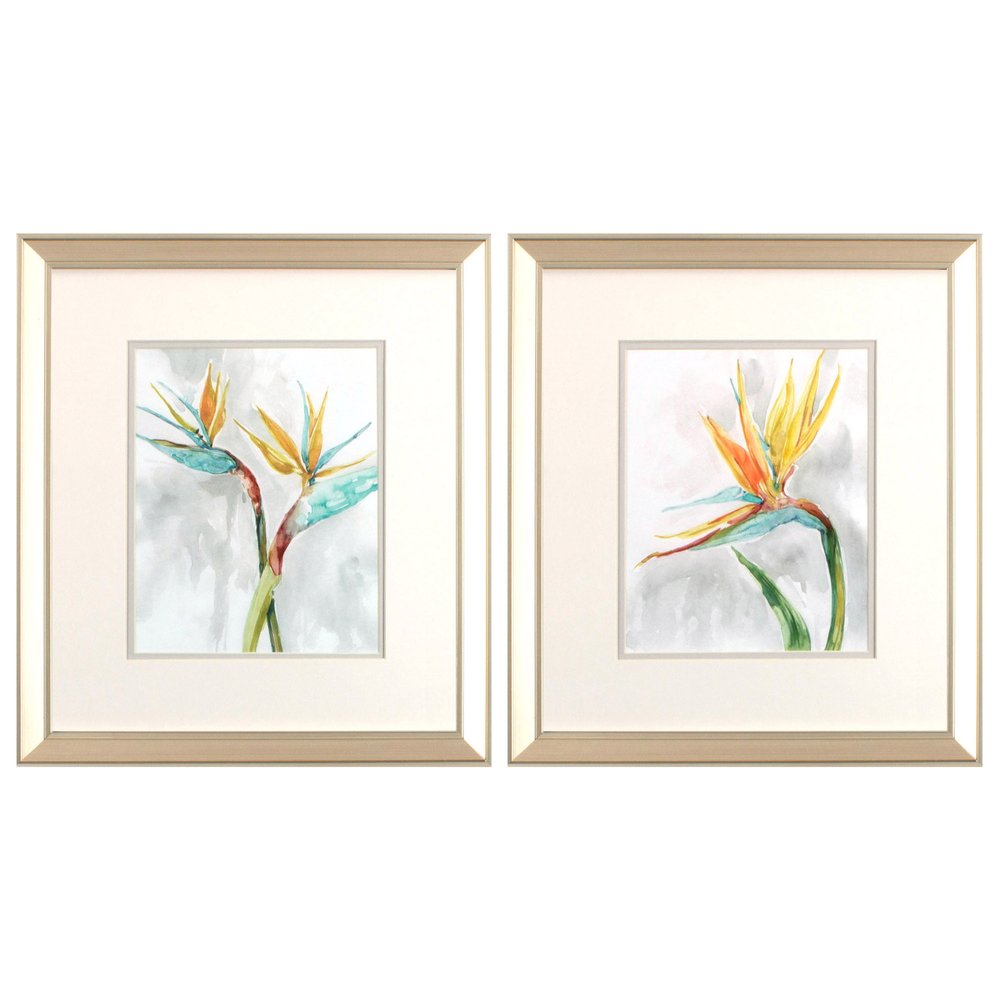 Set Of Two Bird of Paradise Champagne Framed Print Wall Art HomeRoots