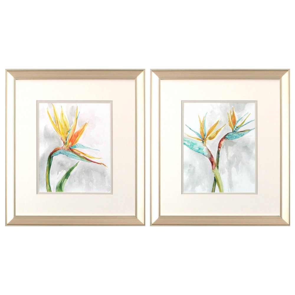 Set Of Two Bird of Paradise Champagne Framed Print Wall Art HomeRoots
