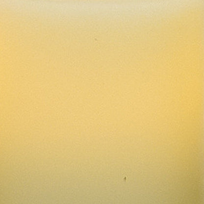 5" Ivory Flameless Pillar Candle HomeRoots