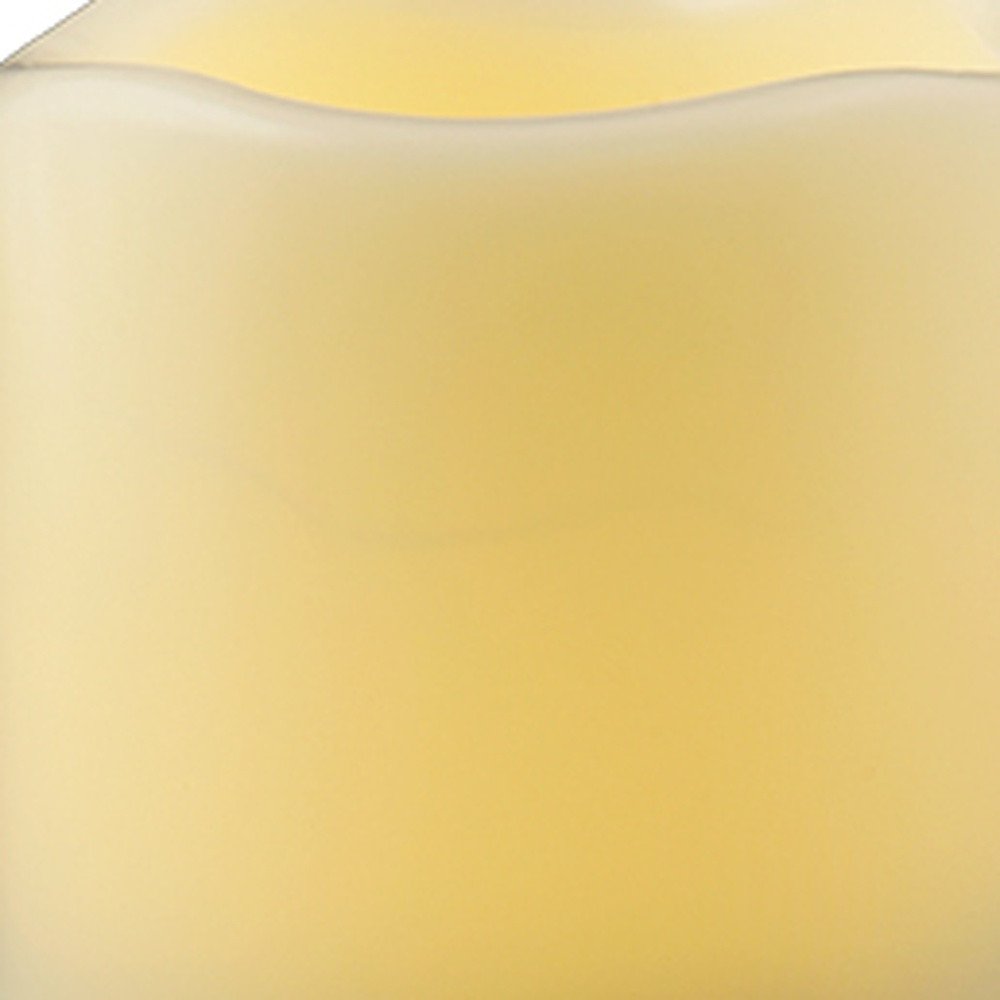 5" Ivory Flameless Indoor Outdoor Pillar Candle HomeRoots