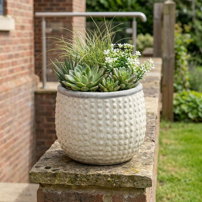 6" Beige Dot Ceramic Indoor Outdoor Round Pot Planter HomeRoots