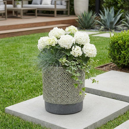6" Gray Geometric Ceramic Indoor Outdoor Round Pot Planter HomeRoots