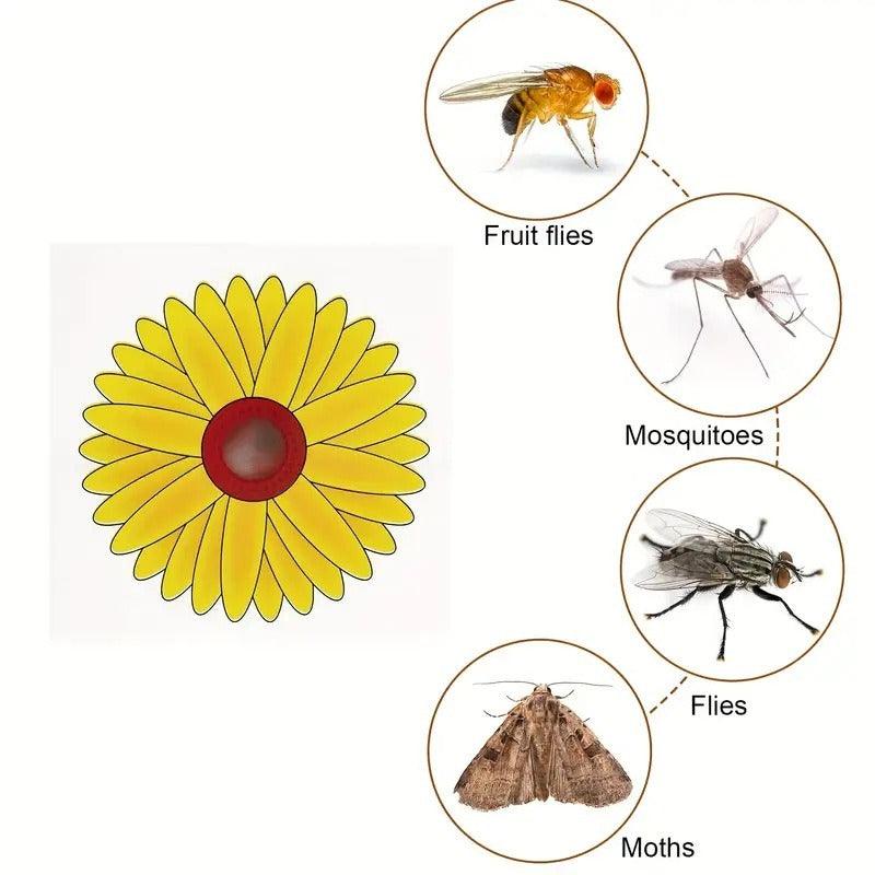 Window Fruit Fly Traps with Strong Stickiness Indoor use Sunflower Window Fly Stickers - FurniFindUSA