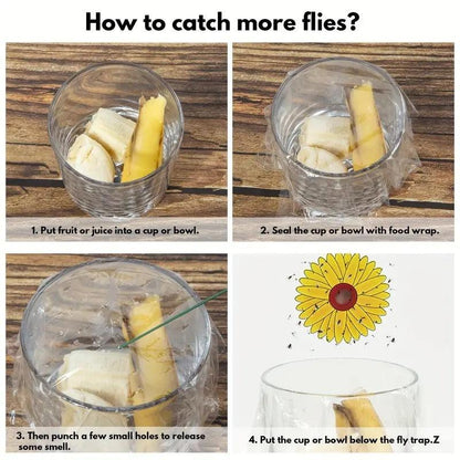 Window Fruit Fly Traps with Strong Stickiness Indoor use Sunflower Window Fly Stickers - FurniFindUSA