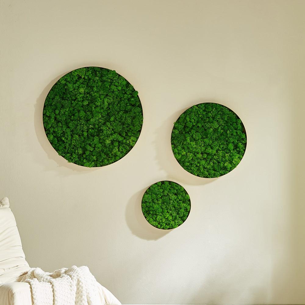 Round Framed Moss Wall Decor, only the Large - FurniFindUSA