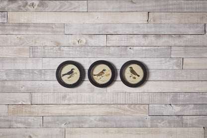 Set Of Three Black Bird Wall Decor