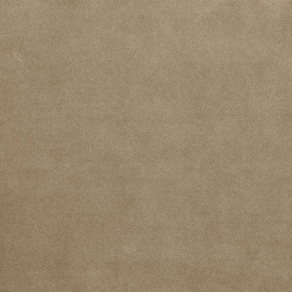 50" Beige And Gold Velvet Tufted Club Chair HomeRoots