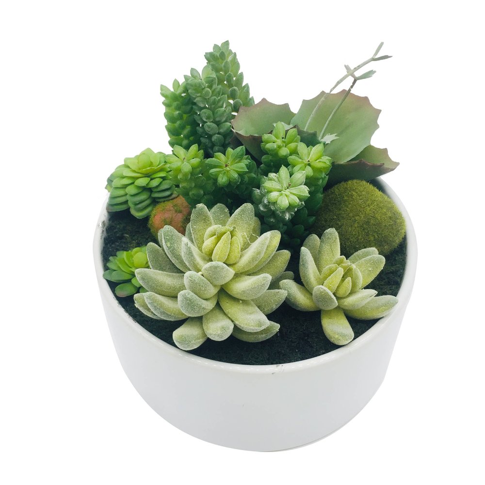 7" Green Artificial Succulent In A Round White Porcelain Planter HomeRoots