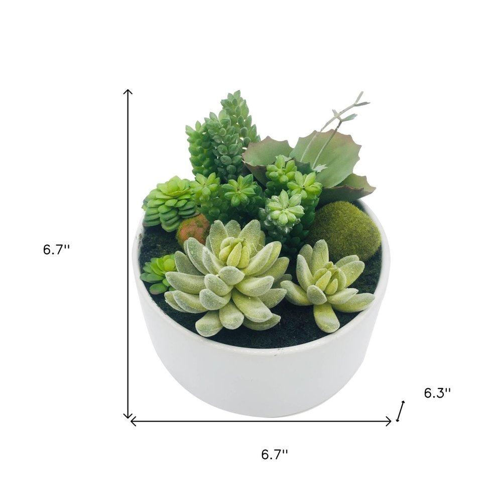 7" Green Artificial Succulent In A Round White Porcelain Planter HomeRoots