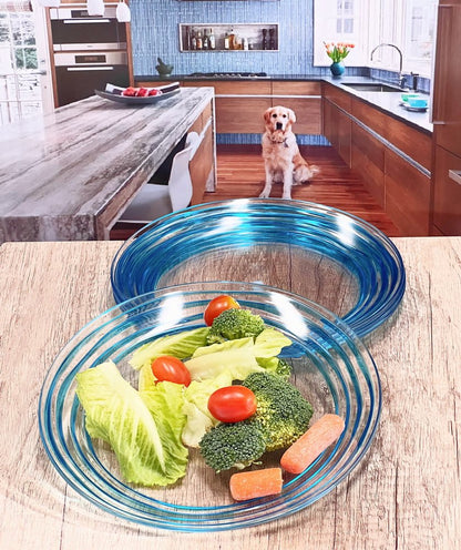 Blue Four Piece Round Swirl Acrylic Service For Four Salad Plate Set HomeRoots