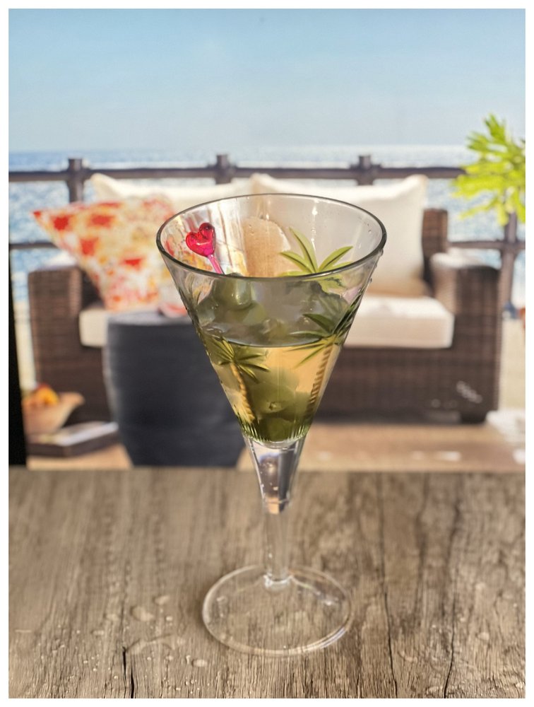 Set of Four Clear and Green Palm Tree Acrylic Stemmed All Purpose Wine Glasses HomeRoots