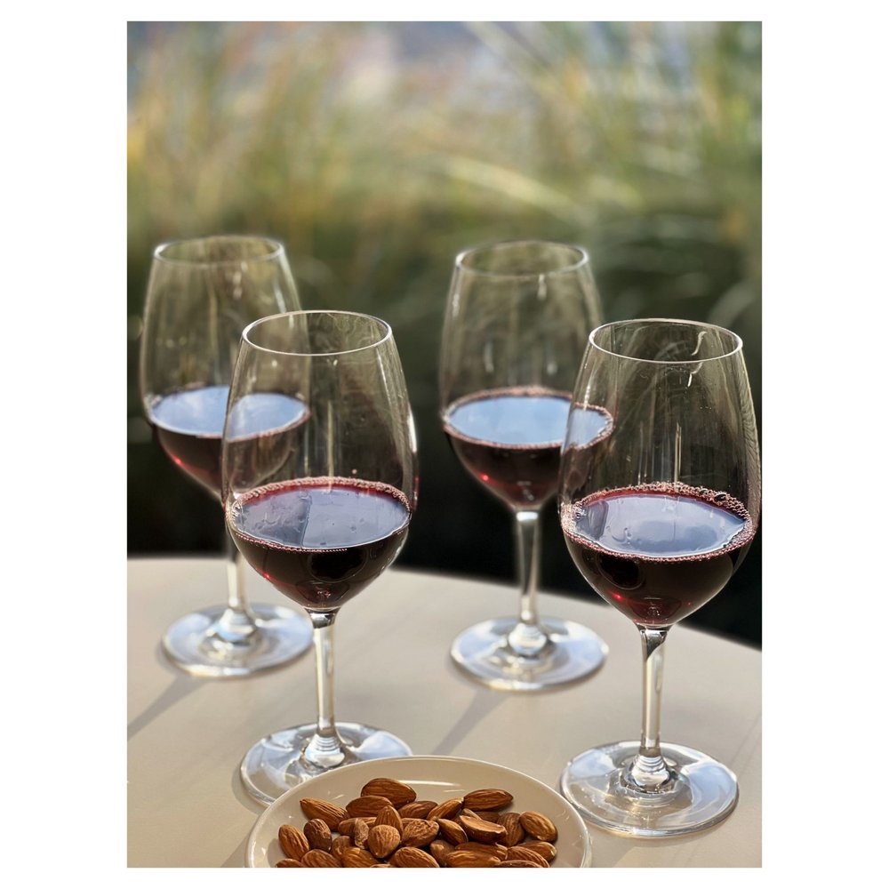 Set of Four Clear Tritan Plastic Stemmed All Purpose Wine Glass HomeRoots