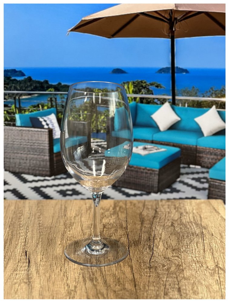 Set of Four Clear Tritan Plastic Stemmed All Purpose Wine Glass HomeRoots