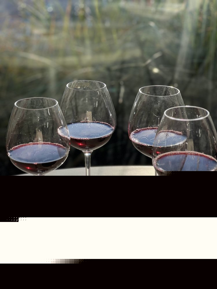 Set of Four Clear Tritan Plastic Stemmed All Purpose Wine Glass HomeRoots