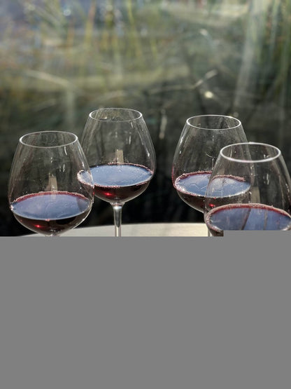 Set of Four Clear Tritan Plastic Stemmed All Purpose Wine Glass HomeRoots