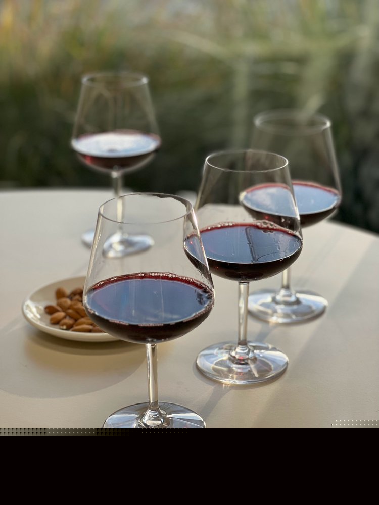Set of Four Clear Tritan Plastic Stemmed All Purpose Wine Glasses HomeRoots