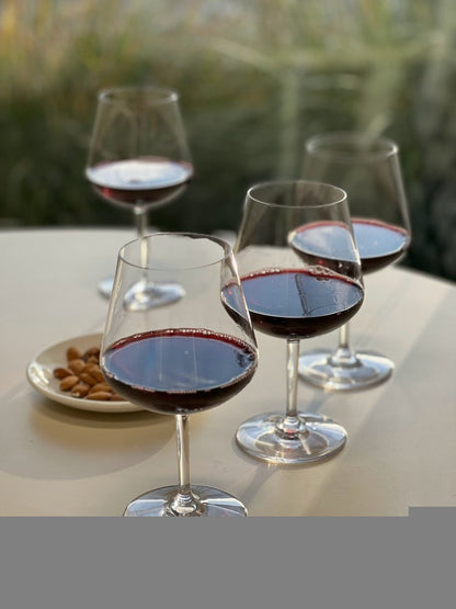 Set of Four Clear Tritan Plastic Stemmed All Purpose Wine Glasses HomeRoots