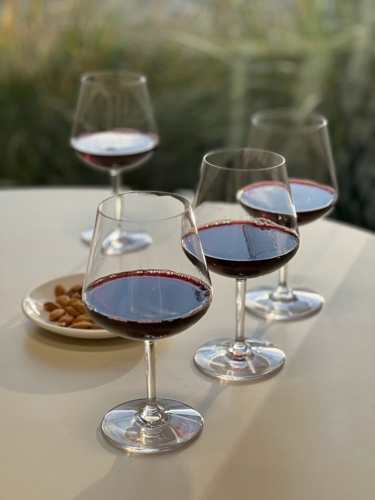 Set of Four Clear Tritan Plastic Stemmed All Purpose Wine Glasses HomeRoots