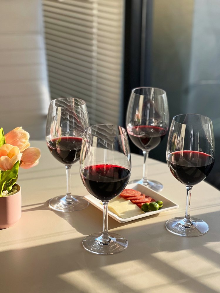 Set of Four Clear Tritan Plastic Stemmed All Purpose Wine Glass HomeRoots