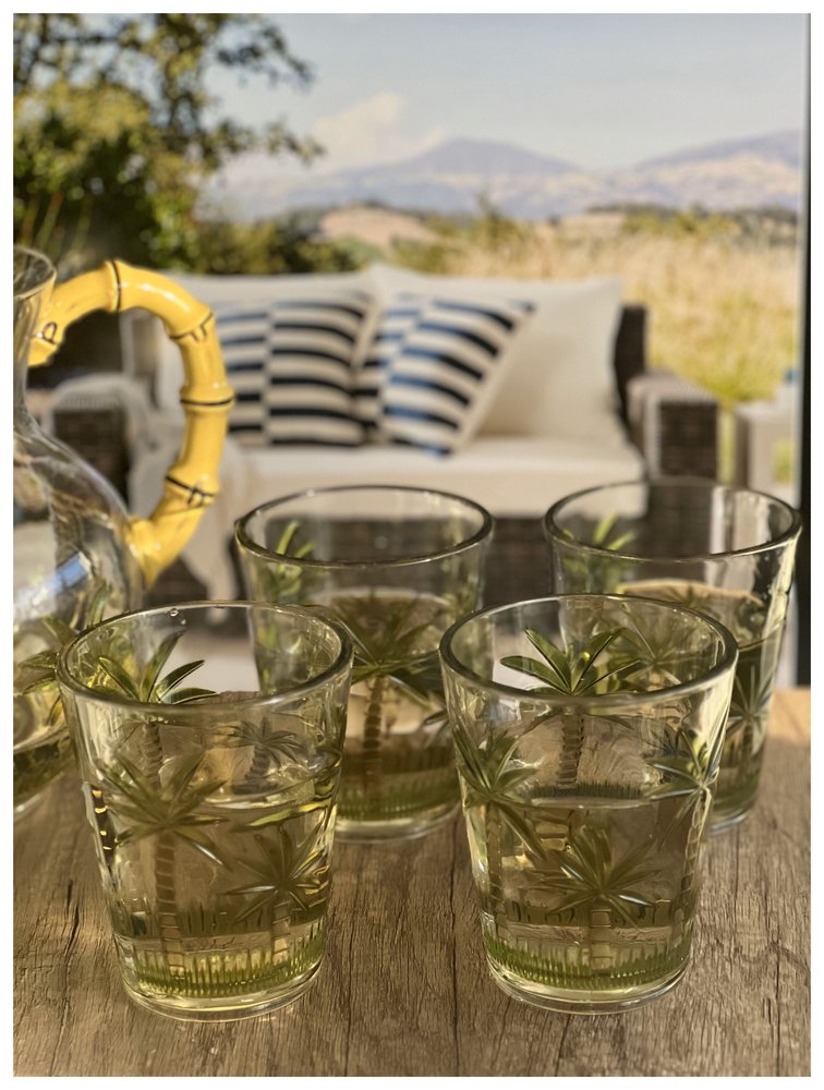 Set of Four Green Floral Acrylic Stemless Whiskey Glass HomeRoots