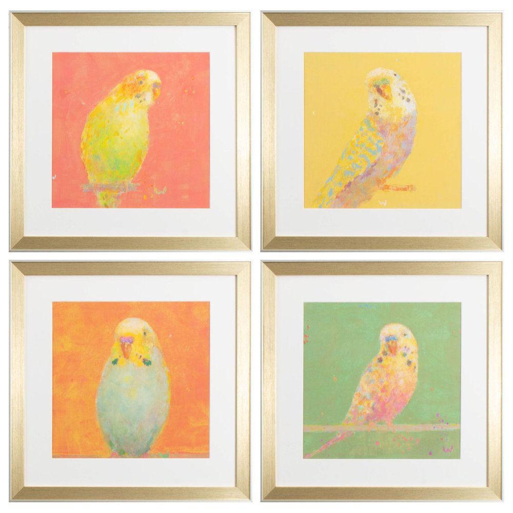 Set Of Four Colorful Bird B S/4 Gold Framed Print Wall Art HomeRoots