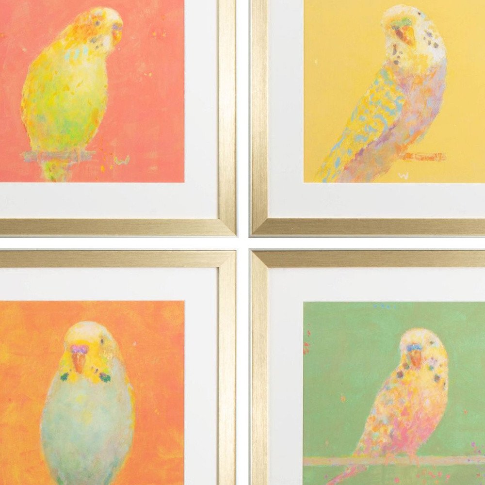 Set Of Four Colorful Bird B S/4 Gold Framed Print Wall Art HomeRoots