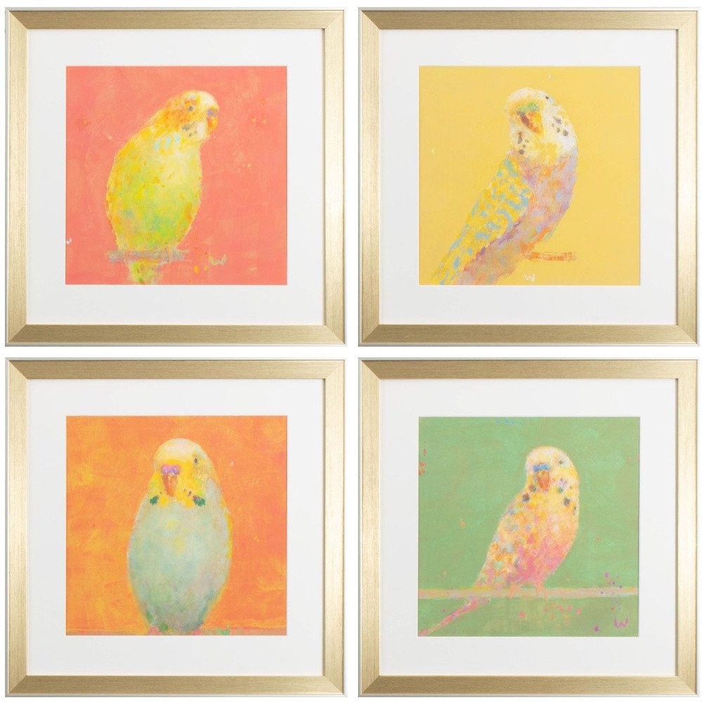 Set Of Four Colorful Bird B S/4 Gold Framed Print Wall Art HomeRoots