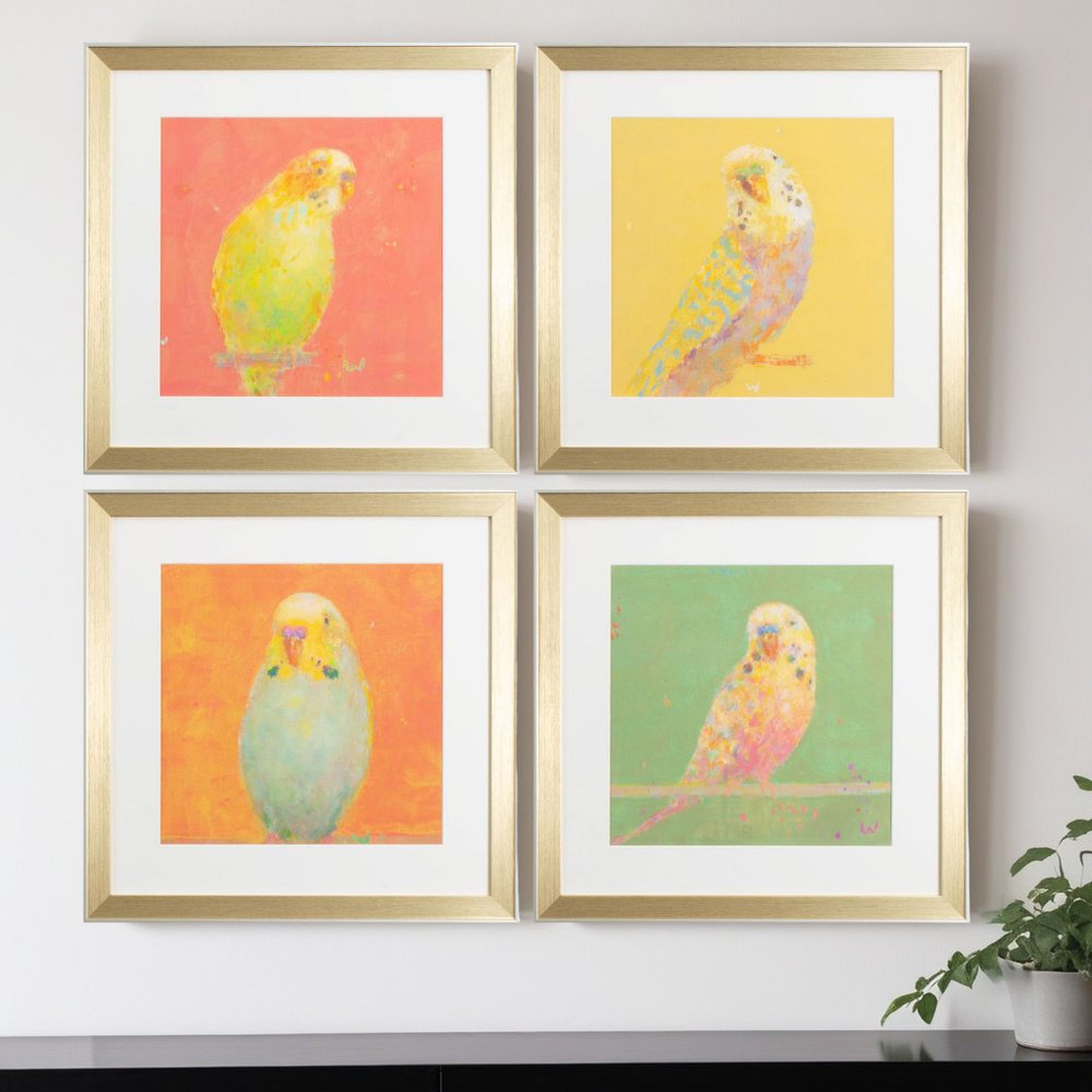 Set Of Four Colorful Bird B S/4 Gold Framed Print Wall Art HomeRoots
