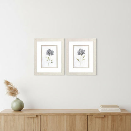 Set Of Two Botanical Beauty White Framed Print Wall Art HomeRoots
