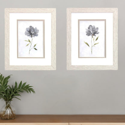 Set Of Two Botanical Beauty White Framed Print Wall Art HomeRoots