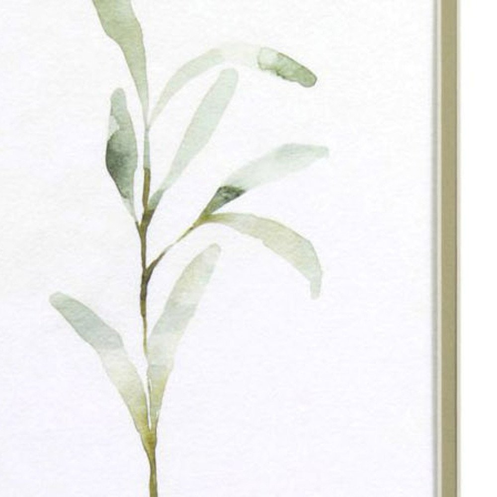 Set Of Two Olive Leaves White Framed Print Wall Art HomeRoots