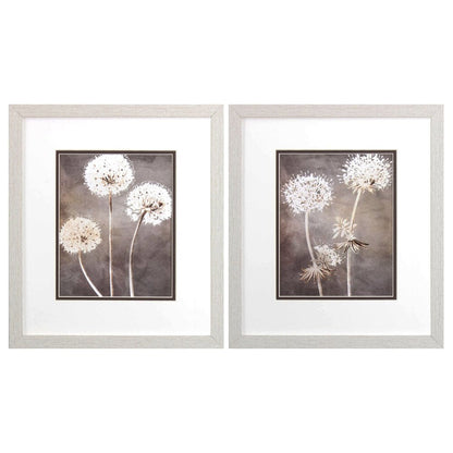 Set Of Two Dandelion White Framed Print Wall Art HomeRoots