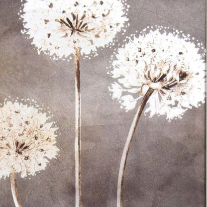 Set Of Two Dandelion White Framed Print Wall Art HomeRoots