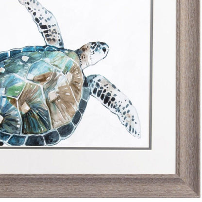 Set Of Two Neutral Sea Turtle Brown Framed Print Wall Art HomeRoots
