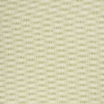9' X 12' Green And Ivory Indoor Outdoor Area Rug HomeRoots