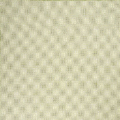 9' X 12' Green And Ivory Indoor Outdoor Area Rug HomeRoots
