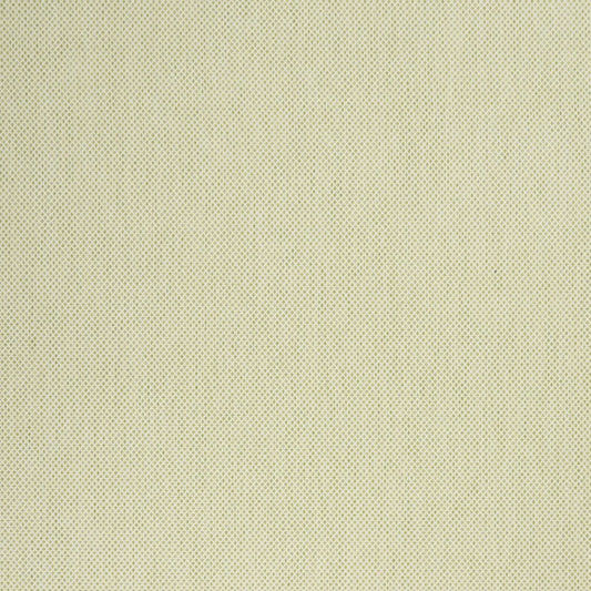 7' X 10' Green And Ivory Indoor Outdoor Area Rug