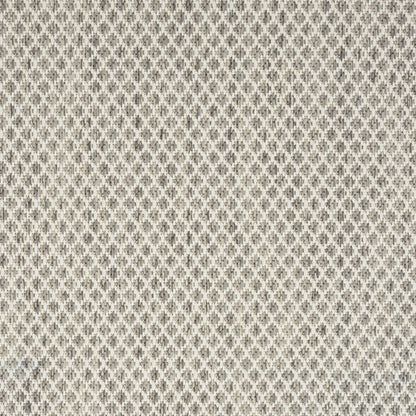 7' X 10' Ivory And Silver Indoor Outdoor Area Rug HomeRoots