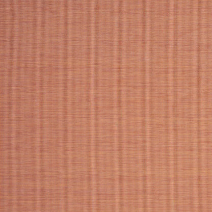 8' X 10' Terra Cotta Indoor Outdoor Area Rug HomeRoots