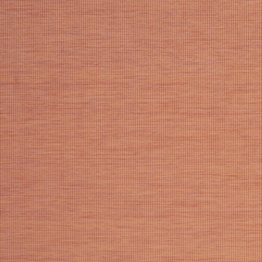 7' X 10' Terracotta Indoor Outdoor Area Rug