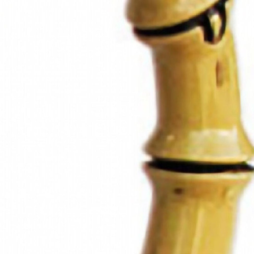 3 Quart Clear and Green Palm Tree Acrylic Pitcher HomeRoots