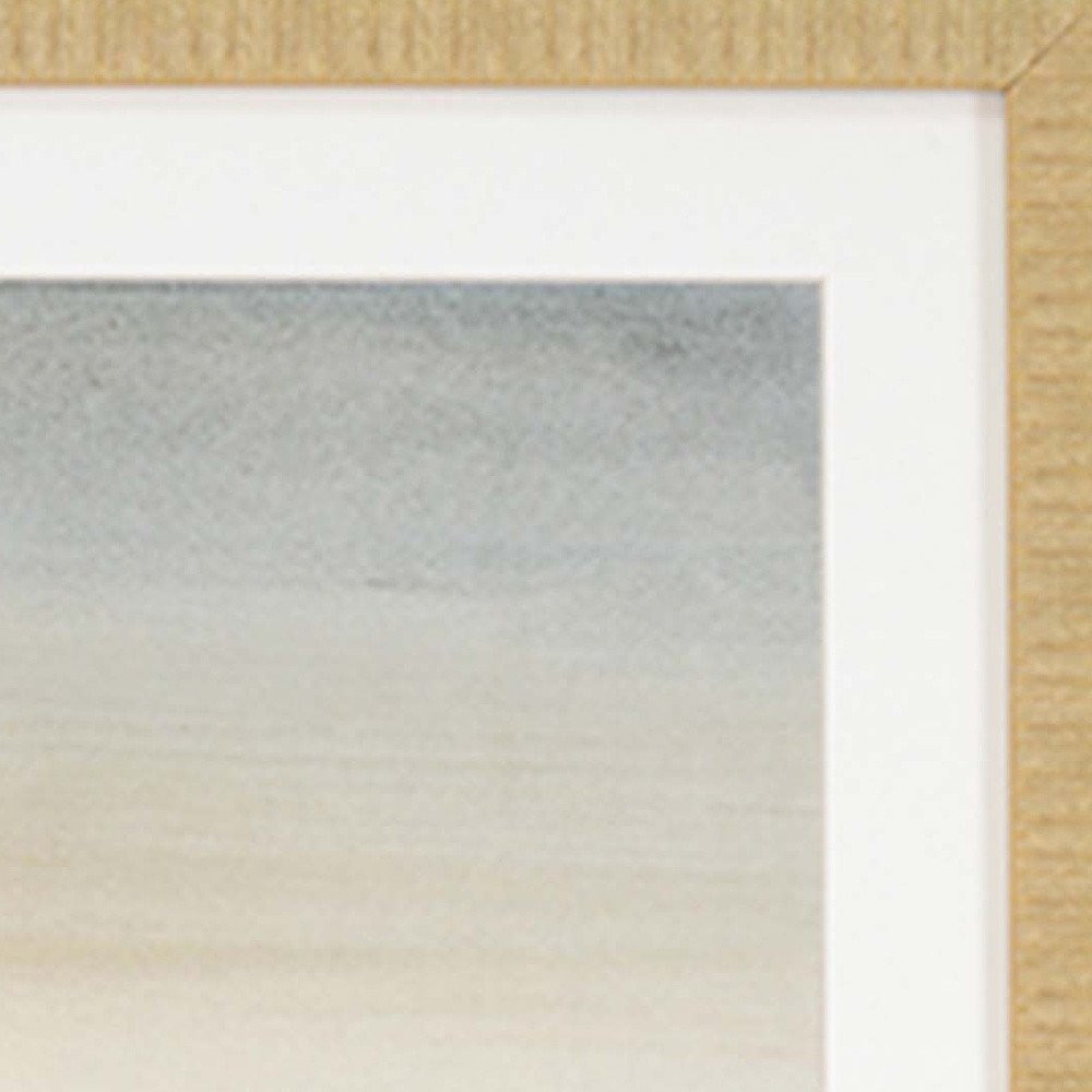 Set Of Three Sable Island Gold Framed Print Wall Art HomeRoots