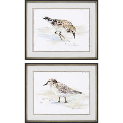 Set Of Two Sandpiper Black Framed Print Wall Art HomeRoots