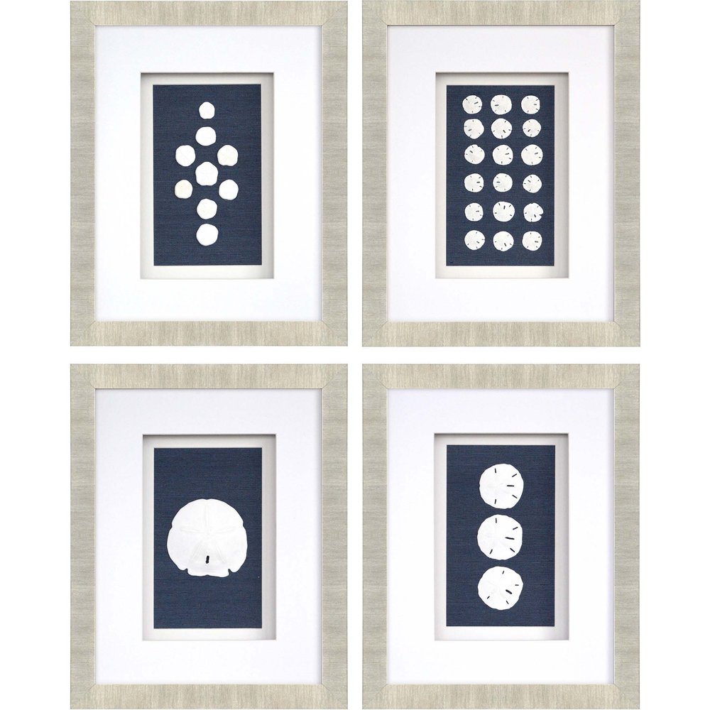 Set Of Four Sand Dollars Gold Framed Print Wall Art HomeRoots