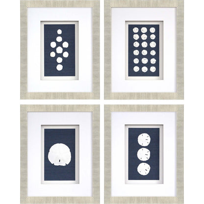 Set Of Four Sand Dollars Gold Framed Print Wall Art HomeRoots